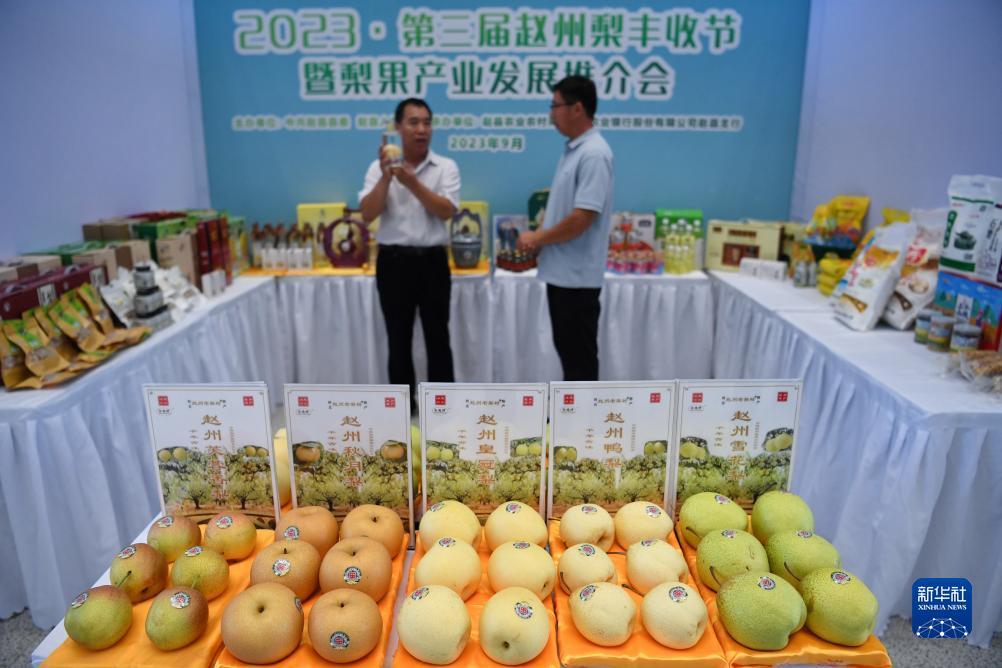 可微信提现的手机游戏